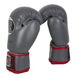 20 Jahre Jubel Angebot - Future Dark Edition Boxhandschuhe grau/schwarz 8 Unzen