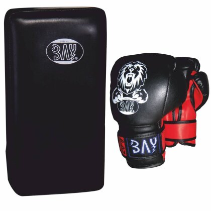 SET ANGEBOT Kinder Box Schlagpolster Leon Boxhandschuhe + Black Corner Arm-Pratze 2 Unzen