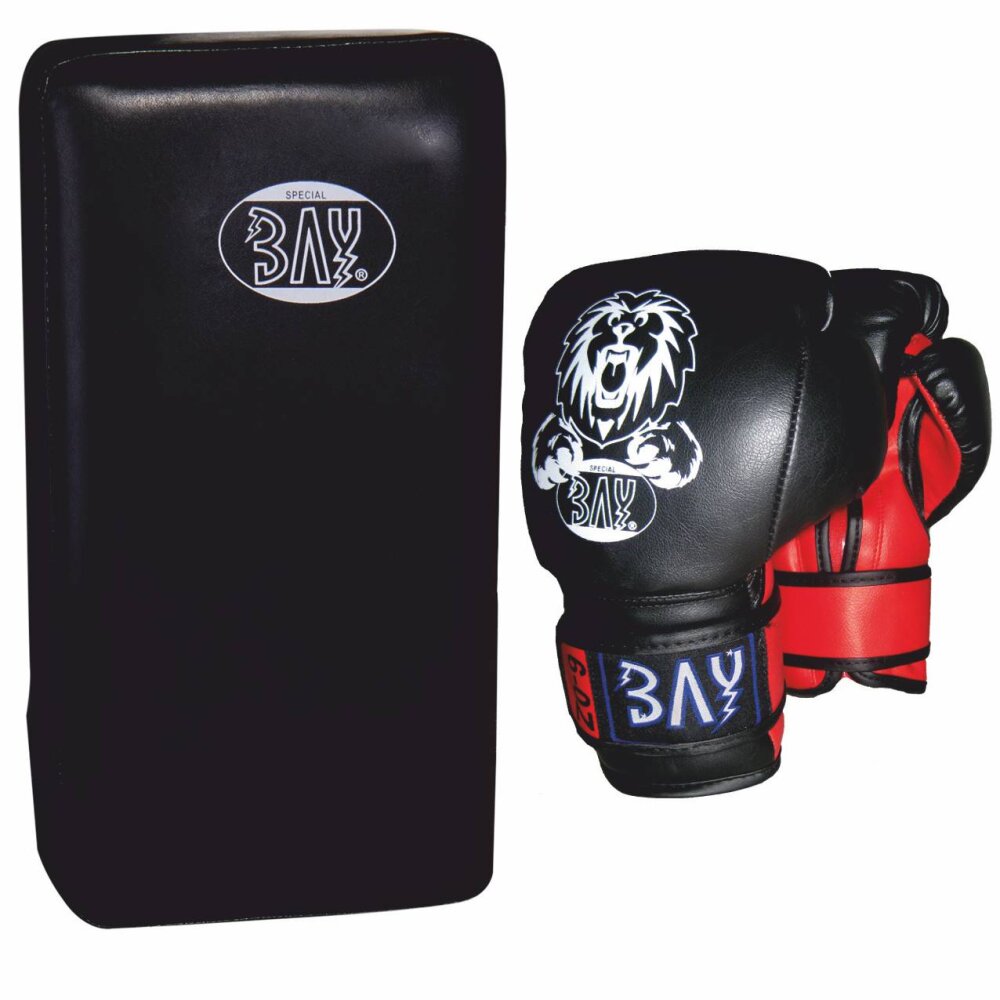 SET ANGEBOT Kinder Box Schlagpolster Leon Boxhandschuhe + Black Corner Arm-Pratze 2 Unzen