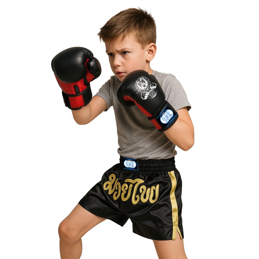 SET ANGEBOT Kinder Box Schlagpolster Leon Boxhandschuhe + Black Corner Arm-Pratze 4 Unzen