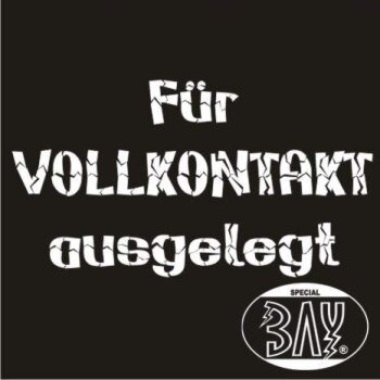 KO Fighter Vollkontakt Boxhandschuhe Leder schwarz 10 Unzen