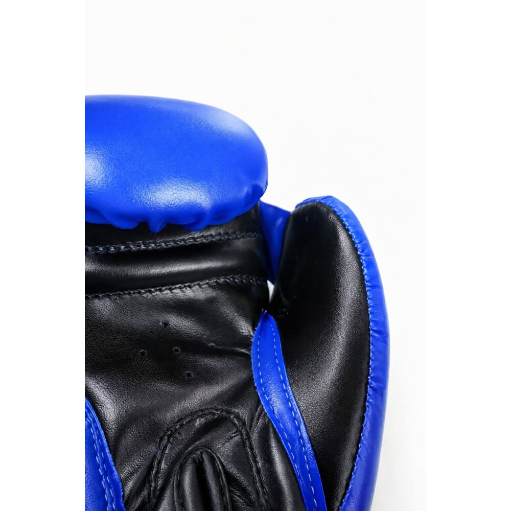Future Boxhandschuhe blau 8, 10 Unzen