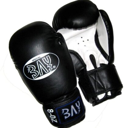20 Jahre Jubel Angebot - Future Kids Warriors Boxhandschuhe Training Sparring schwarz/weiß  6 Unzen