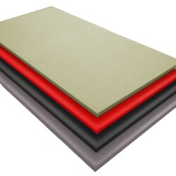 Judo Matten Dragon RG230 Kampfsportmatten 200x100x4cm