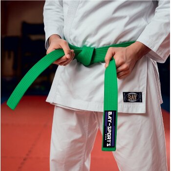 20 Jahre Jubel Angebot - 10 Stück Budogürtel Grün 220 cm