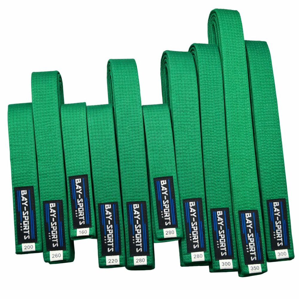 20 Jahre Jubel Angebot - 10 Stück Budogürtel Grün 320 cm