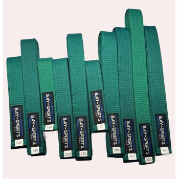 20 Jahre Jubel Angebot - 10 Stück Budogürtel Grün 160 cm - 350 cm freie Längenwahl Gemischt - Info per Mail