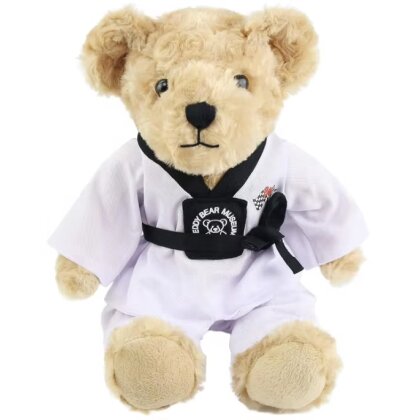 Taekwondo Master Teddybär mit Budogürtel schwarz