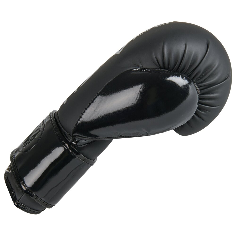 ASH Boxhandschuhe Black Edition 8 - 16 Unzen