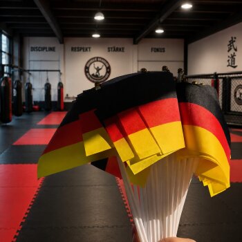 Wimpel Mini Deutschland Fahne Flagge BRD