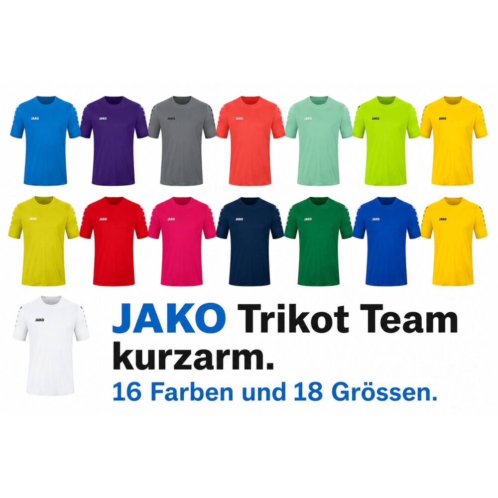 JAKO Teamwear Trikot Team kurzarm in 16 Farben