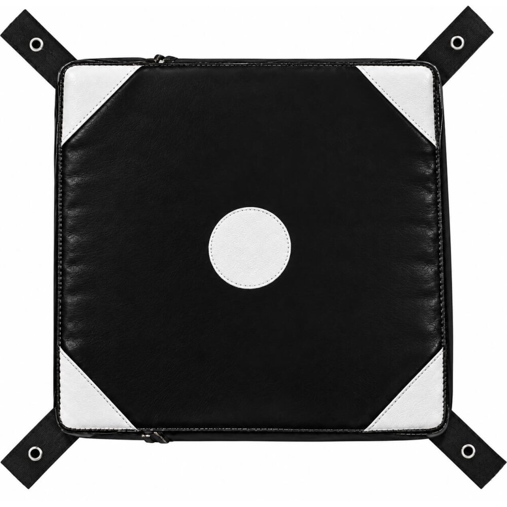 Wall Catcher Wand-Schlagpolster 34 x 34 cm schwarz