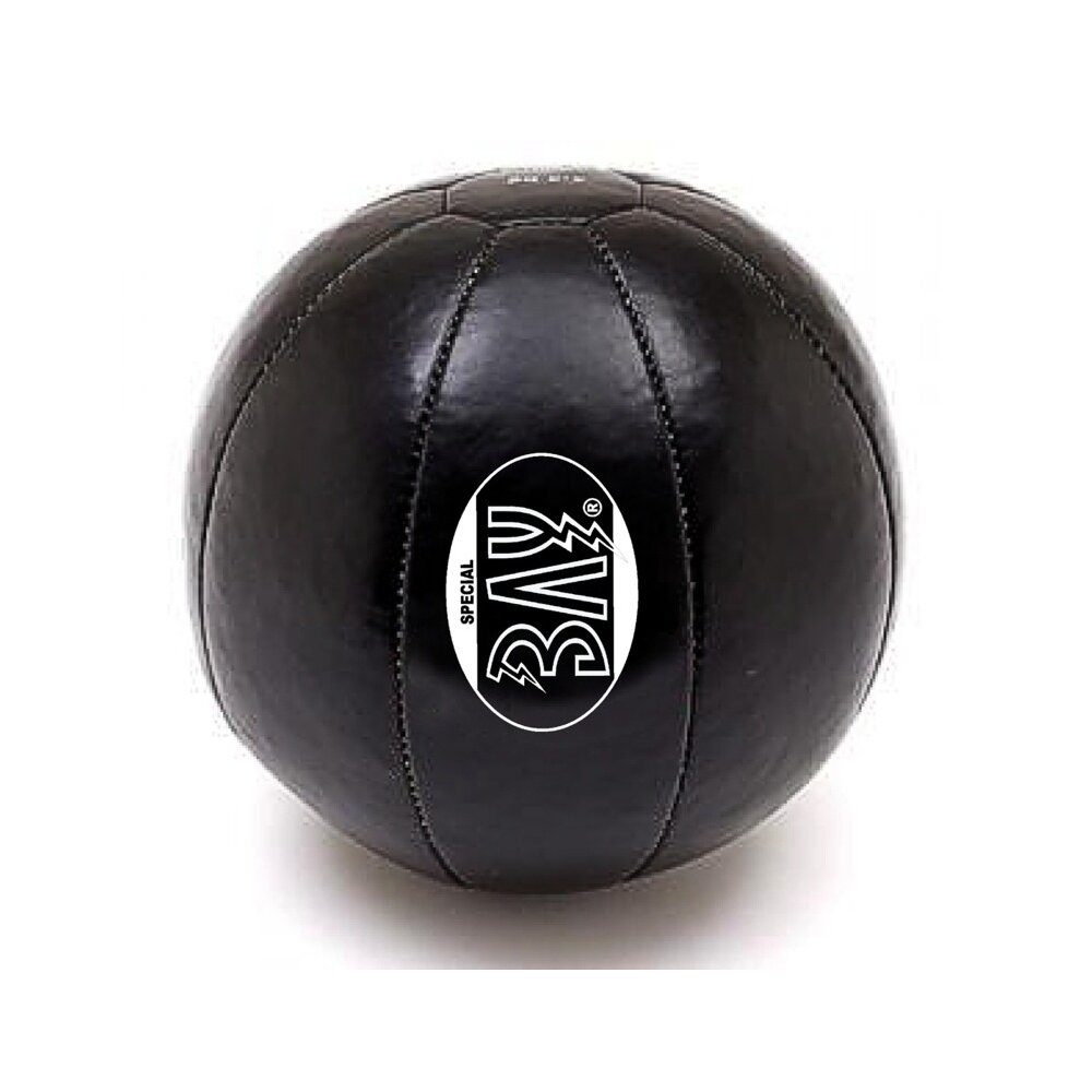 Echtes Leder Medizinball  5 - 10 kg schwarz