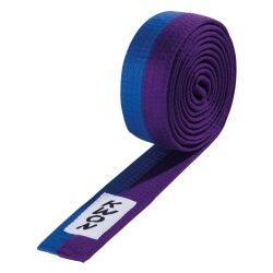 2-farbige Budog&uuml;rtel  blau/lila 260