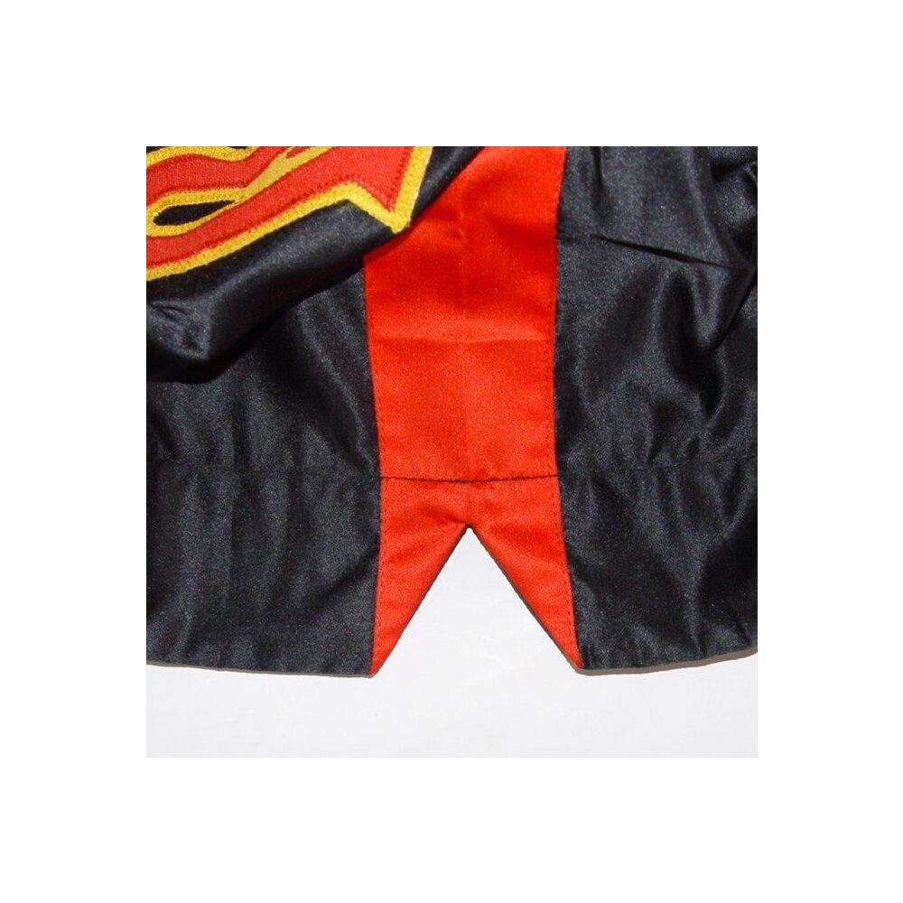 Remy Thaiboxhose schwarz/rot L