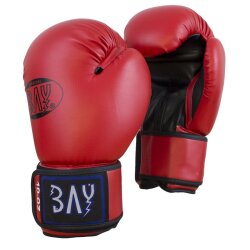 Future Boxhandschuhe rot 10 Unzen