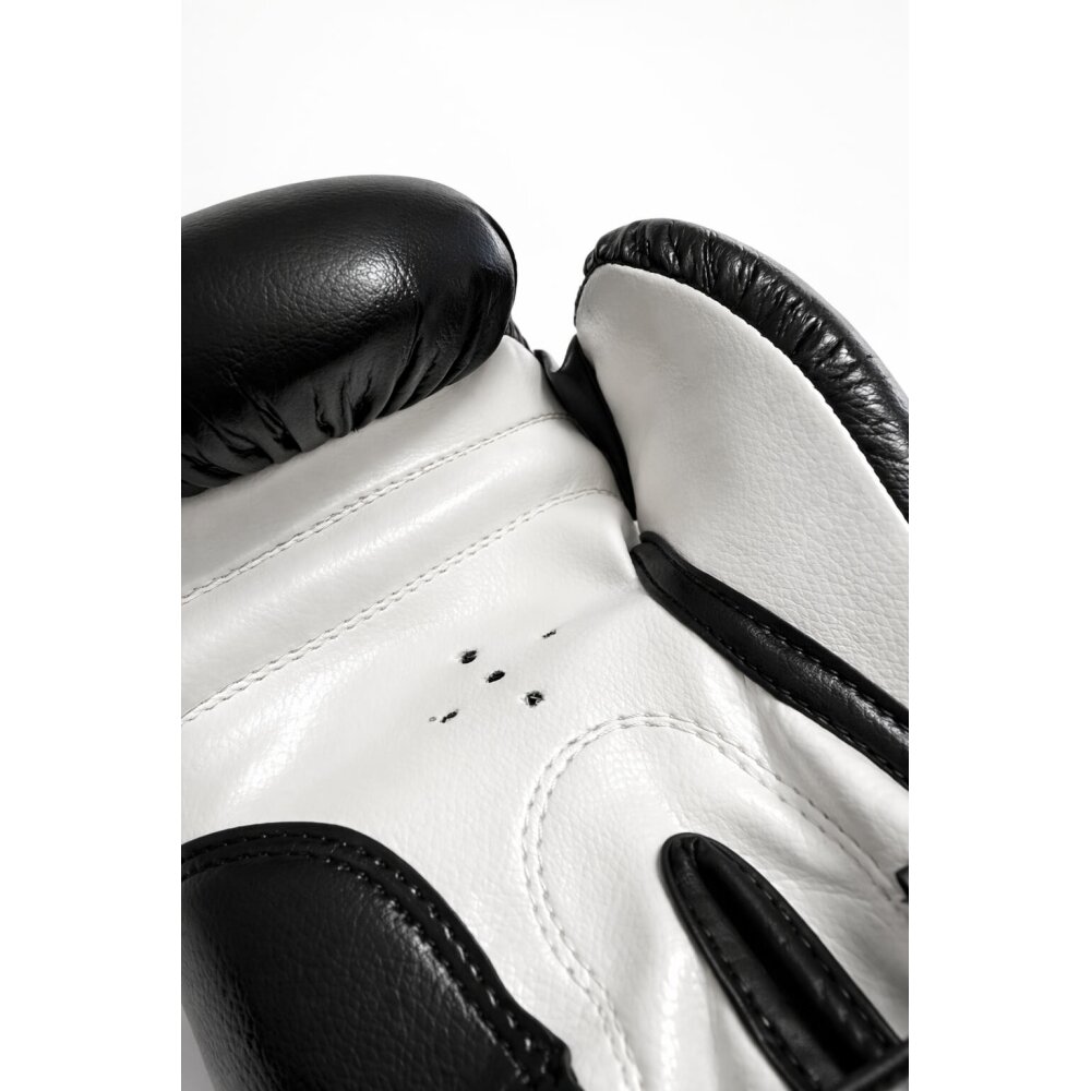 Future Boxhandschuhe Training Sparring schwarz/weiß 14 Unzen