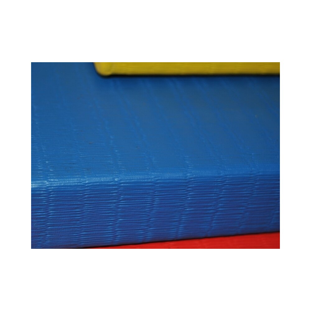 Judo Matten Dragon RG230 Kampfsportmatten 100x100x4cm