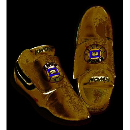 Strike Lite Fußschutz Schuhe gepolstert schwarz 42/43