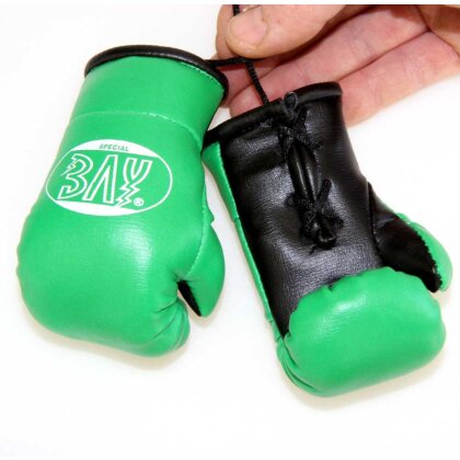 Mini Boxhandschuhe Anhänger Deko fürs Auto, Tasche usw. grün